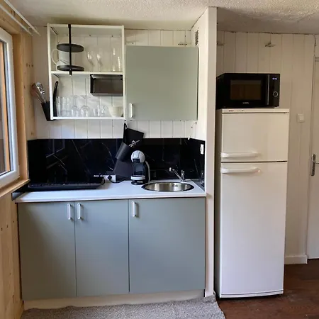Apartment Cosy Au Pied De La Telecabine Pour L Alpe D Huez Parking Prive